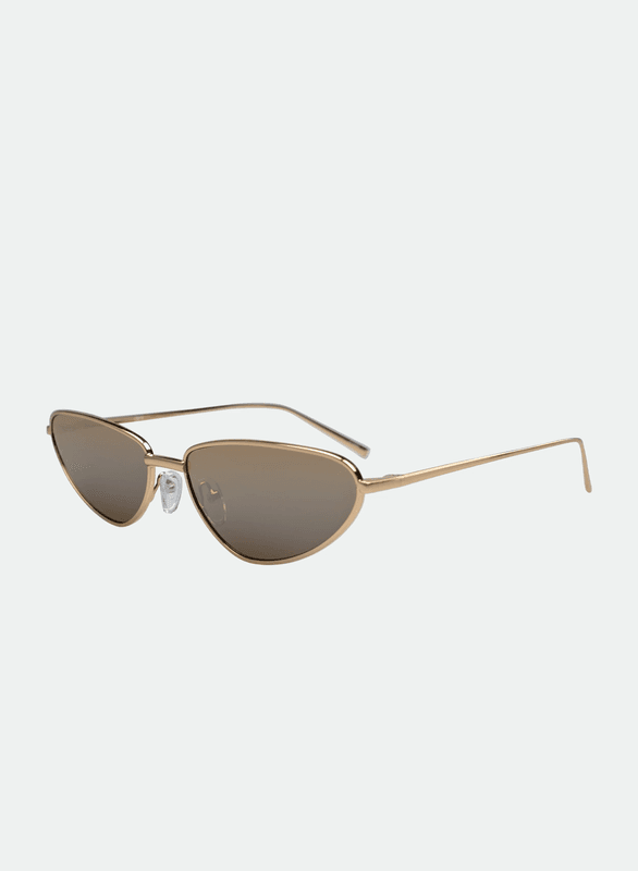 Aster Gold Brown